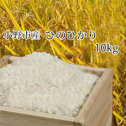 ヒノヒカリ 2025年秋収穫 ひのひかり 10kg 兵庫県 播州小野産米 冷却 