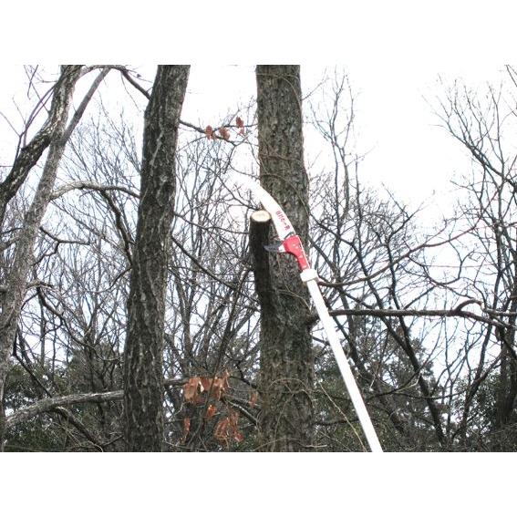 ニシガキ工業 枝打ち一発3M 5段階伸縮N-760 ニシガキ : ハーティ