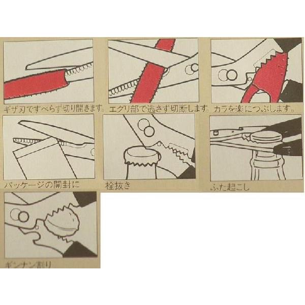 ステンレス製 カニ専用はさみ |  | 02