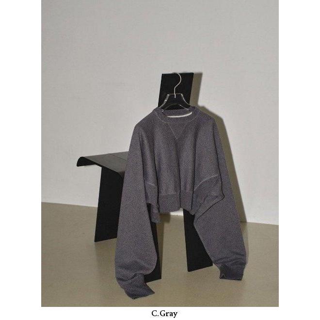 TODAYFUL (セール50%OFF) / トゥデイフル Cropped Sweat Pullover 24