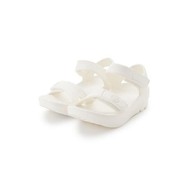 CELFORD（セルフォード） (期間限定8%OFF&300円OFF) 【TELIC】コラボ