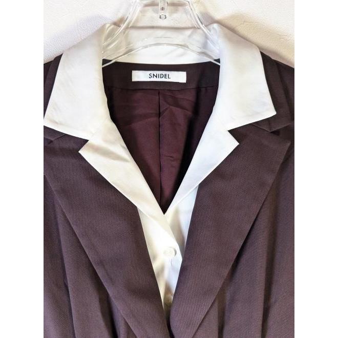 SNIDEL スナイデル レイヤードカラーワンピース ブラウン SNIDEL（スナイデル）の「レイヤードカラーワンピース（ワンピース