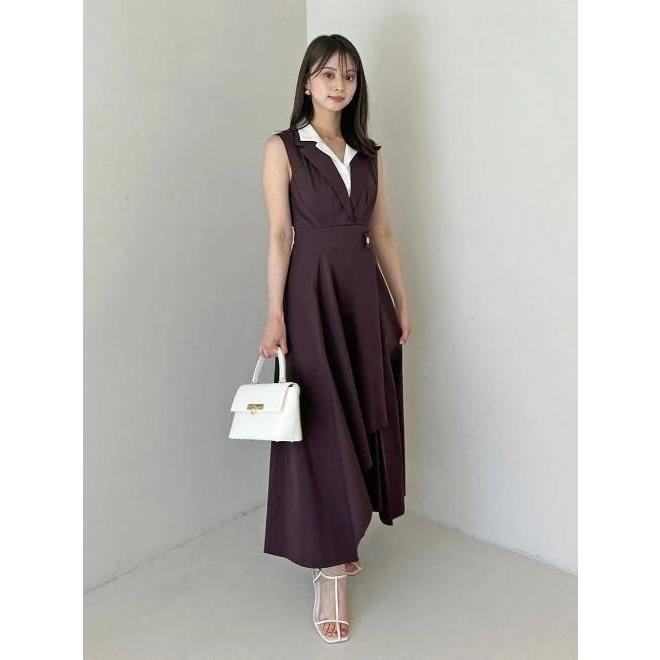 SNIDEL（スナイデル） レイヤードカラーワンピ 25春夏. SWFO252075 (11