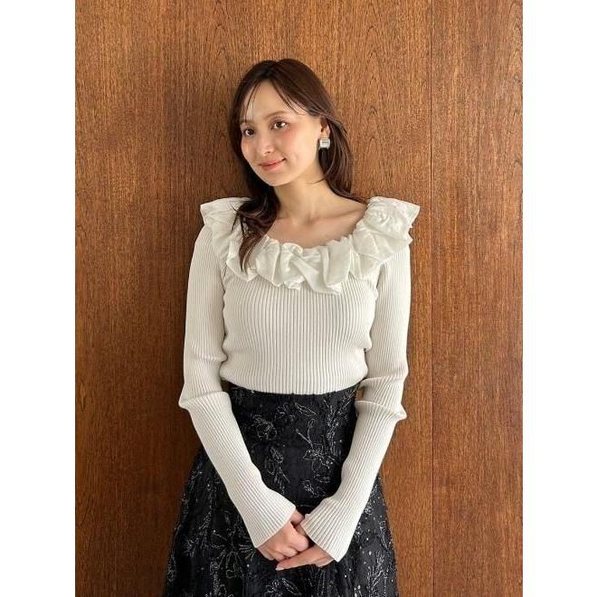 SNIDEL（スナイデル） (最終セール50%OFF&300円OFF) エンブロイダリー