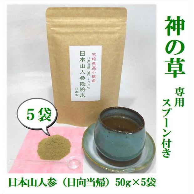 日本山人参 粉末 ×5袋 日本山人参 日本山人参茶 微粉末50g×5袋（湯呑約500杯分）神の草 宮崎