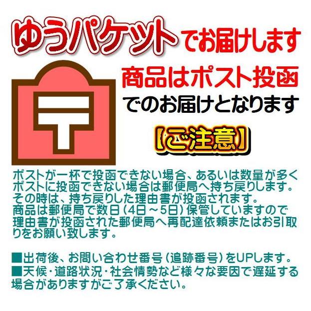 日本山人参 日本山人参茶 微粉末50g×5袋（湯呑約500杯分）神の草 宮崎