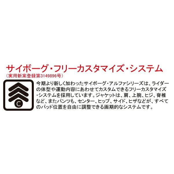 【旧モデルの為】サイボーグ アルファ ショートパンツプロテクター CYBORG ALPHA SHORT ヒップパッド お尻パット ヒッププロテクター CB150 |  | 03