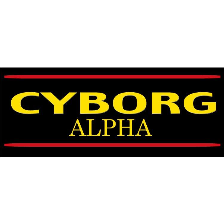 【旧モデルの為】サイボーグ アルファ ロングパンツプロテクター CYBORG ALPHA LONG パットの位置を調整可 ヒップパッド お尻パット ヒッププロテクター CB250 |  | 09