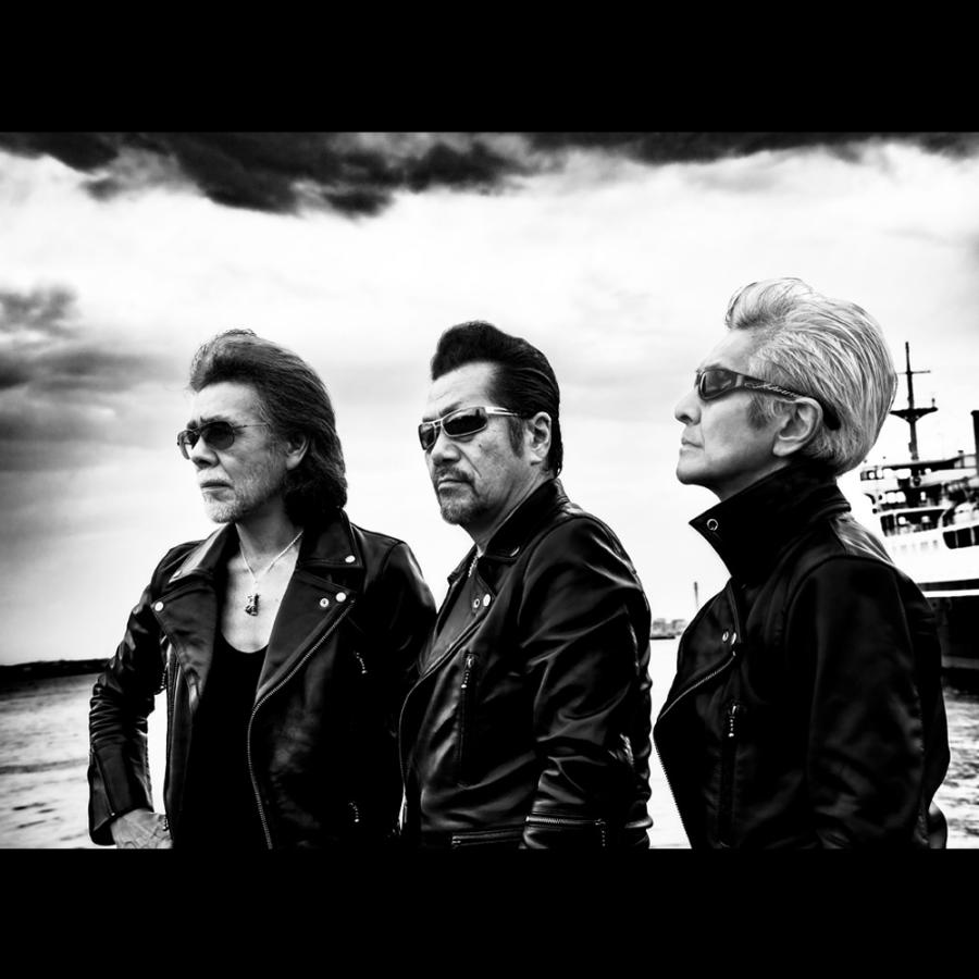 横浜銀蝿 Tシャツ メンズ カットソー 半袖 バックプリント 大きい