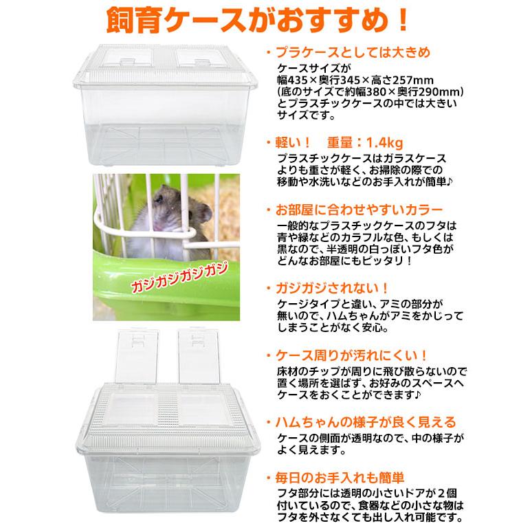 ハムスター飼育ケース　大小セット Amazon | ハムスター ケージ 大型ケージ 小動物ケージ 飼育ケージ
