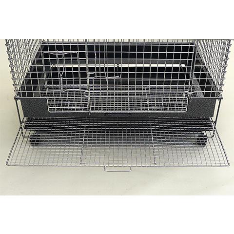 カワイ(ペット用品) コンフォートチンチラスペシャル STグレード カワイ(ペット用品) コンフォートチンチラスペシャル STグレード