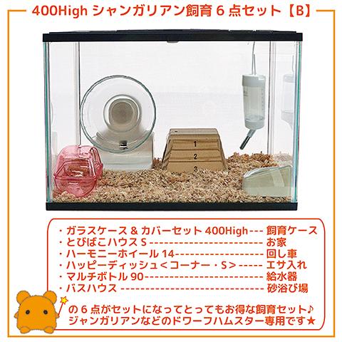 400Highシャンガリアン飼育6点セット【一度のご注文で2個まで