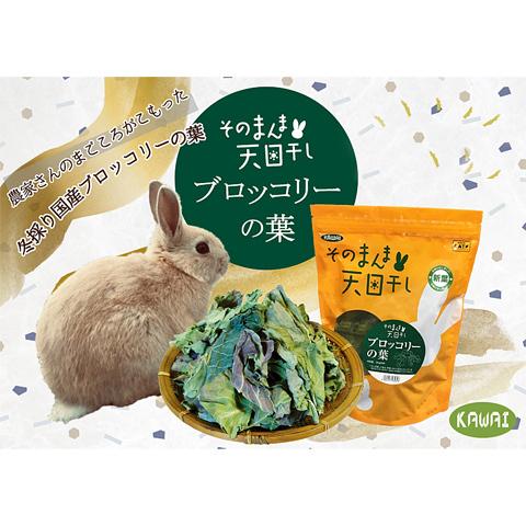 そのまんま天日干し　ブロッコリーの葉/おやつ フード エサ 副食 ビタミンA βカロチン うさぎ モルモット チンチラ デグー プレーリー KAWAI カワイ｜heaven-y｜03