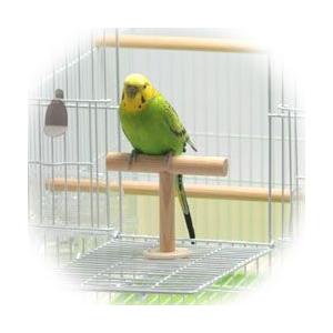 イージーホーム イージーホームバード37<手乗り>/鳥カゴ 鳥 イージーホーム イージーホームバード37<手乗り>/鳥カゴ 鳥
