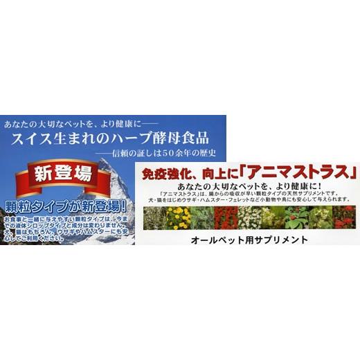 アニマストラス 顆粒 100g/ハーブ酵母 Anima-Strath ハムスター デグー