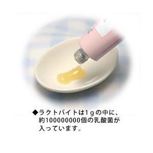 サンコー 乳酸菌 ラクトバイト/サプリメント 栄養補助食品 ペースト