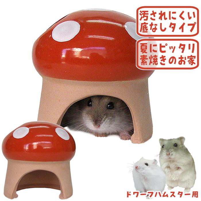 三晃商会 素焼きハウス（きのこ）/お家 隠れ家 寝床 陶器 ハムスター