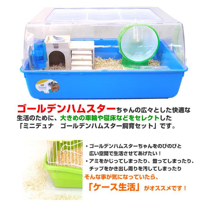 ferplast 【アウトレット特価:要説明確認】ミニデュナ ferplast 【アウトレット特価:要説明確認】ミニデュナ