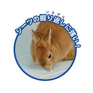 らくサポ 洗えるシーツホルダー 介護 サポート 高齢 静養 ペットシーツ ペットシート うさぎ フェレット モルモット サンコー Sanko Wild 三晃商会 4017 小動物専門店ヘヴン ヤフー店 通販 Yahoo ショッピング