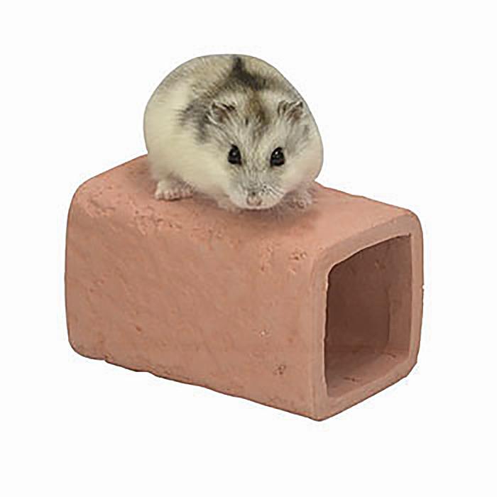 三晃商会 テラコッタトンネル S/素焼き製 ハウス 隠れ家 寝床 夏