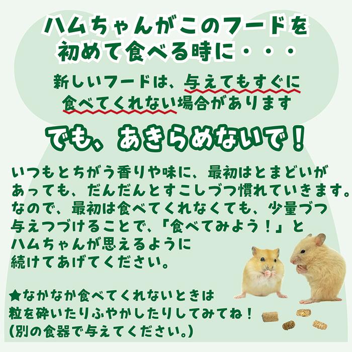 GEX（ジェックス） ハムスタープレミアムフード ドワーフハムスター