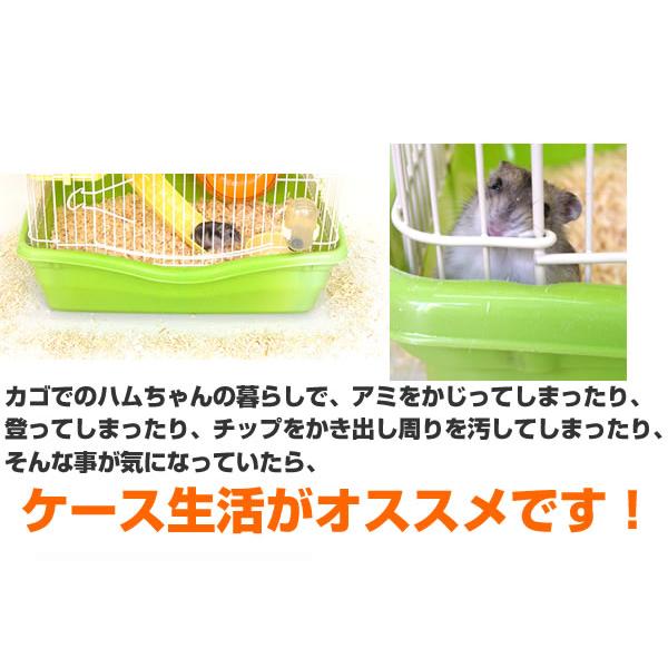 ジャンガリアンハムスター飼育セット ゆったり/飼育ケース 飼育 ジャンガリアンハムスター飼育セット ゆったり/飼育ケース 飼育