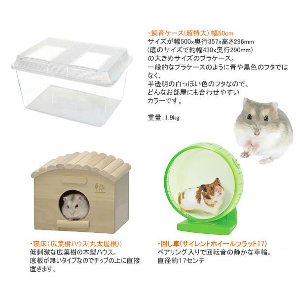 ジャンガリアンハムスター飼育セット ゆったり/飼育ケース 飼育 ジャンガリアンハムスター飼育セット ゆったり/飼育ケース 飼育