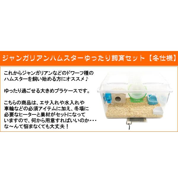 ハムスター飼育セット 29周年セール中】ジャンガリアンハムスター飼育セット【ゆったり】【冬