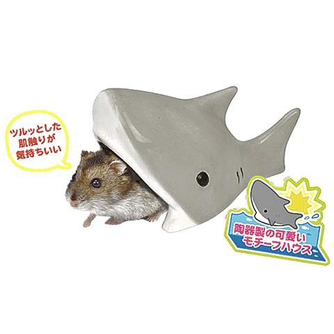 三晃商会 陶器ハウス サメ/寝床 隠れ家 ジャンガリアン ドワーフ