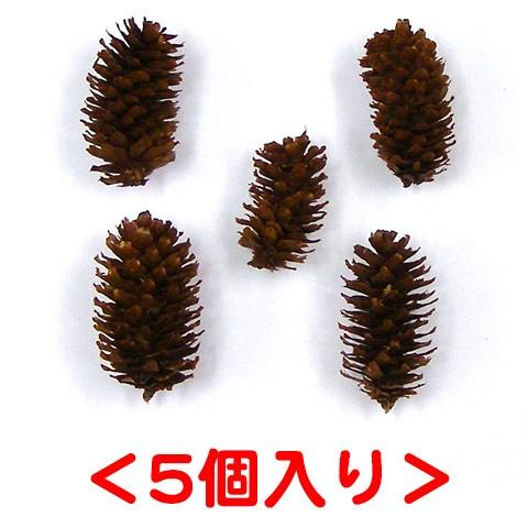 Natural Toy 松ぼっくり おもちゃ かじり木 ストレス解消 小動物 売り込み チンチラ デグー モルモット 鳥 ハムスター うさぎ ウサギ