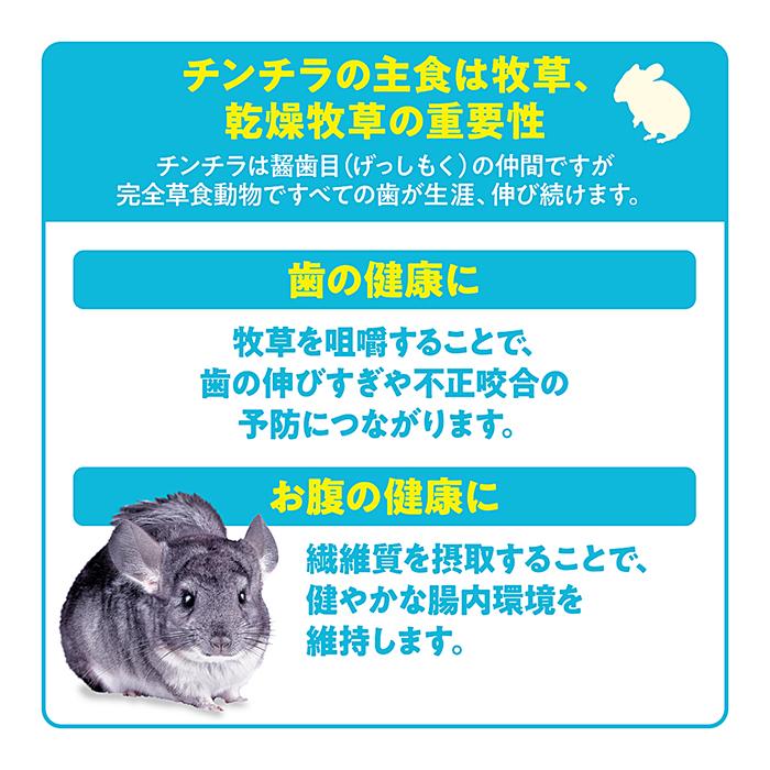 GEX（ジェックス） チンチラプレミアムフード シンバイオティクス