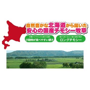 北海道ファーストチモシー600g/牧草 主食 フード エサ 一番刈り 国産 うさぎ モルモット チンチラ デグー SANKO｜heaven-y｜04