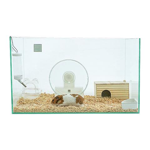 600ハムスターHIGH ゴールデンハムスター飼育セットII【A:給水 600ハムスターHIGH ゴールデンハムスター飼育セットII【A:給水