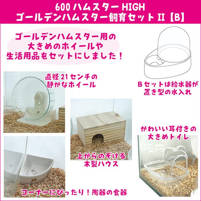 600ハムスターHIGH ゴールデンハムスター飼育セットII【B：ドーム