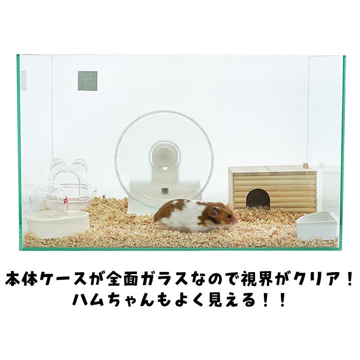 600ハムスターHIGH ゴールデンハムスター飼育セットII【B：ドーム