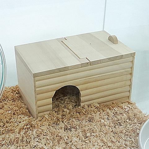 600ハムスターHIGH ゴールデンハムスター飼育セットII【B 600ハムスターHIGH ゴールデンハムスター飼育セットII【B