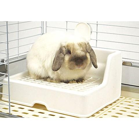 三晃商会 おなやみ解決トイレ iv/ミニうさぎ ロップイヤー