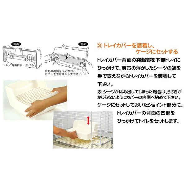 三晃商会 おなやみ解決トイレ iv/ミニうさぎ ロップイヤー