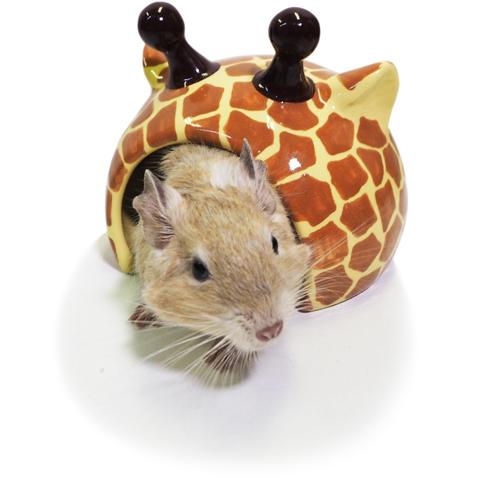 小動物用木製ハウス レインボー 天然松木ペットハウス ハムスターチンチラ デグー レインボー 小動物のアニマルドーム/ハウス 寝床 隠れ家 陶器