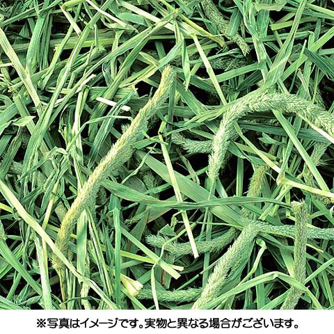 香りきわだつ おいしいチモシー1.1kg/牧草 フード エサ えさ 餌 一番 ... 香りきわだつ おいしいチモシー1.1kg/牧草 フード エサ えさ 餌 一番 ...