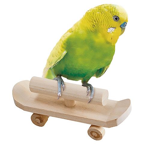 木製鳥用おもちゃ 多層構造*4 Amazon.co.jp: HIGHAWK鳥 バード 木製 木彫り 飾り 玄関 置物