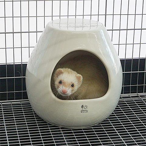 三晃商会 ポットハウス L/お家 寝床 陶器 砂浴び デグー チンチラ