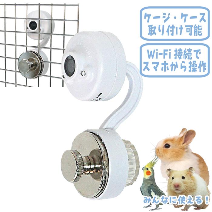マルカン 小動物・小鳥・爬虫類の 見守り用カメラ/安心 モリタニング