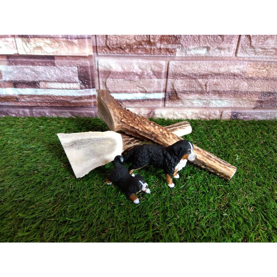 鹿角（S) : ヘビィツリードットコム. - 通販 - Yahoo!ショッピング