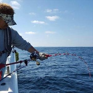 北海道環境バイオセクター 発光塗料 フラッシング 10cc×3種セット 釣り 渓流釣り |  | 05