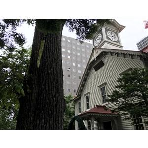 カラス除けテープ「SARABAカラスくん」 札幌時計台でも使用  「10cm×100m」 ツバメ巣守り 鷹 トンビ カモメ ベランダ 果樹園 農家  鳥害対策 |  | 08