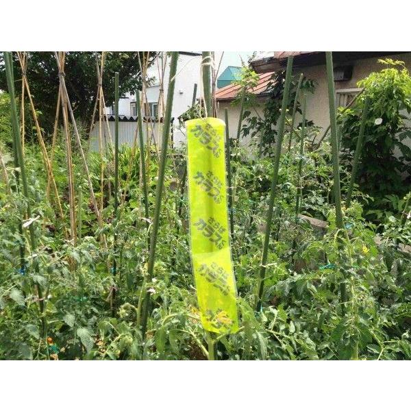 北海道環境バイオセクター 札幌時計台 カラス除けテープ 「10cm×500cm」ツバメ巣守り 鷹 トンビ カモメ  ベランダ 果樹園 農家  鳥害対策 カラス対策 |  | 02