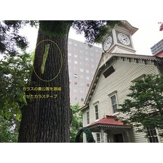 北海道環境バイオセクター 札幌時計台 カラス除けテープ 「10cm×500cm」ツバメ巣守り 鷹 トンビ カモメ  ベランダ 果樹園 農家  鳥害対策 カラス対策 |  | 01