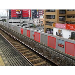 【H-40】天然　鳥　羽・羽根25枚★消毒済★ H-40】天然 鳥 羽・羽根25枚☆消毒済☆ 世界の美しき鳥