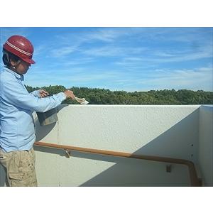 北海道環境バイオセクター カラス除け塗料 カラス追放グッズ「内容量